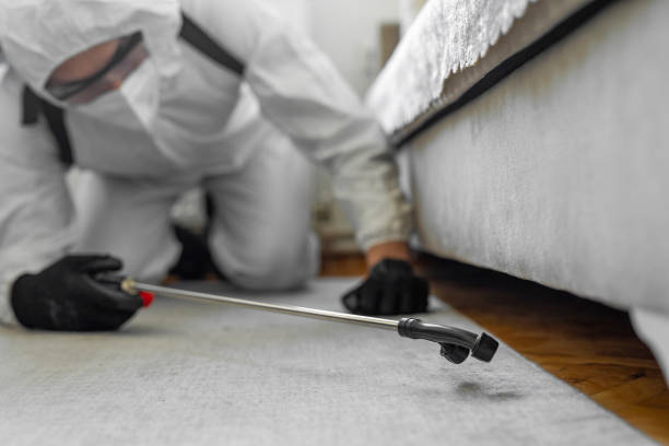Professional Termite Control technician working in North Mankato, MN