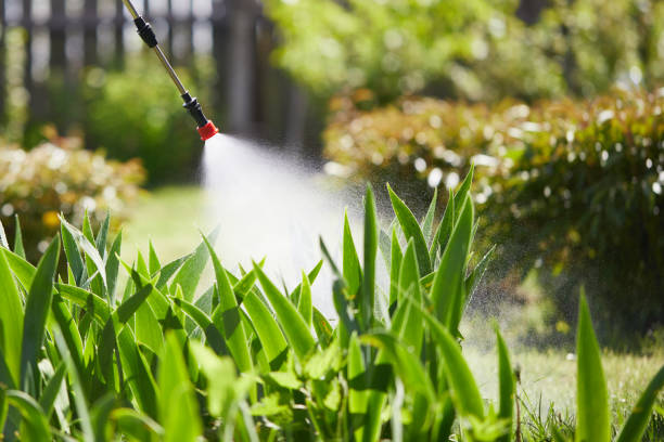 24/7 Emergency Termite Control experts in North Mankato, MN