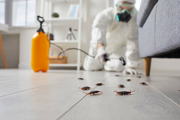 Trusted Termite Control service in North Mankato, MN - Nex Pest Control