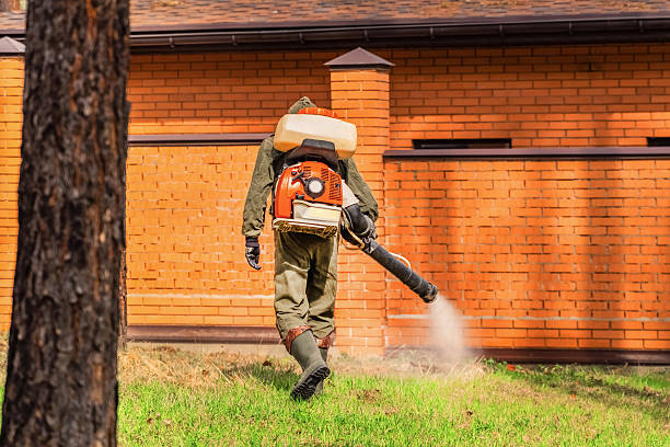 Trusted Bed Bug Control service in North Mankato, MN - Nex Pest Control